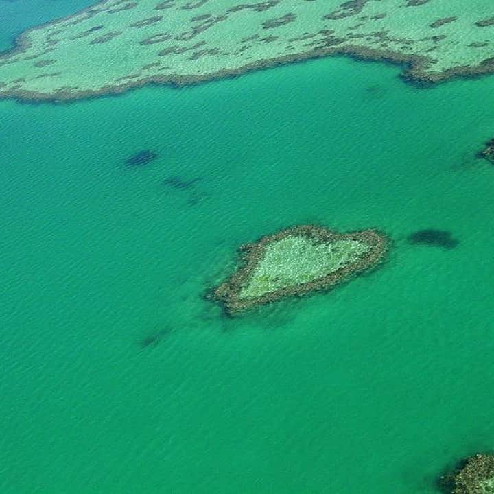 世界遺産オンラインガイドのインスタグラム：「キレイな海も堪能できる世界遺産！ 🇦🇺オーストラリア「グレート・バリア・リーフ」 🇭🇷クロアチア「ドゥブロヴニク旧市街」 🇮🇹イタリア「アマルフィ海岸」 🇦🇺オーストラリア「ニンガルー・コースト」 🇵🇼パラオ「ロックアイランド群と南ラグーン」 🇧🇿ベリーズ「ベリーズ珊瑚礁保護区」 🇧🇷ブラジル「ブラジルの大西洋上の島々」 🇬🇧イギリス「ドーセットと東デヴォンの海岸」 🇸🇨セーシェル「ヴァレ・ド・メ自然保護区」 🇪🇸スペイン「イビサ島の生物多様性と歴史地区」 #世界遺産 #worldheritage #海」