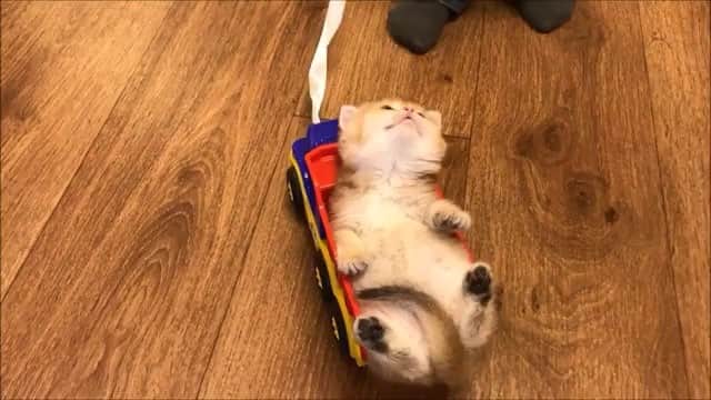 霧島れいかのインスタグラム