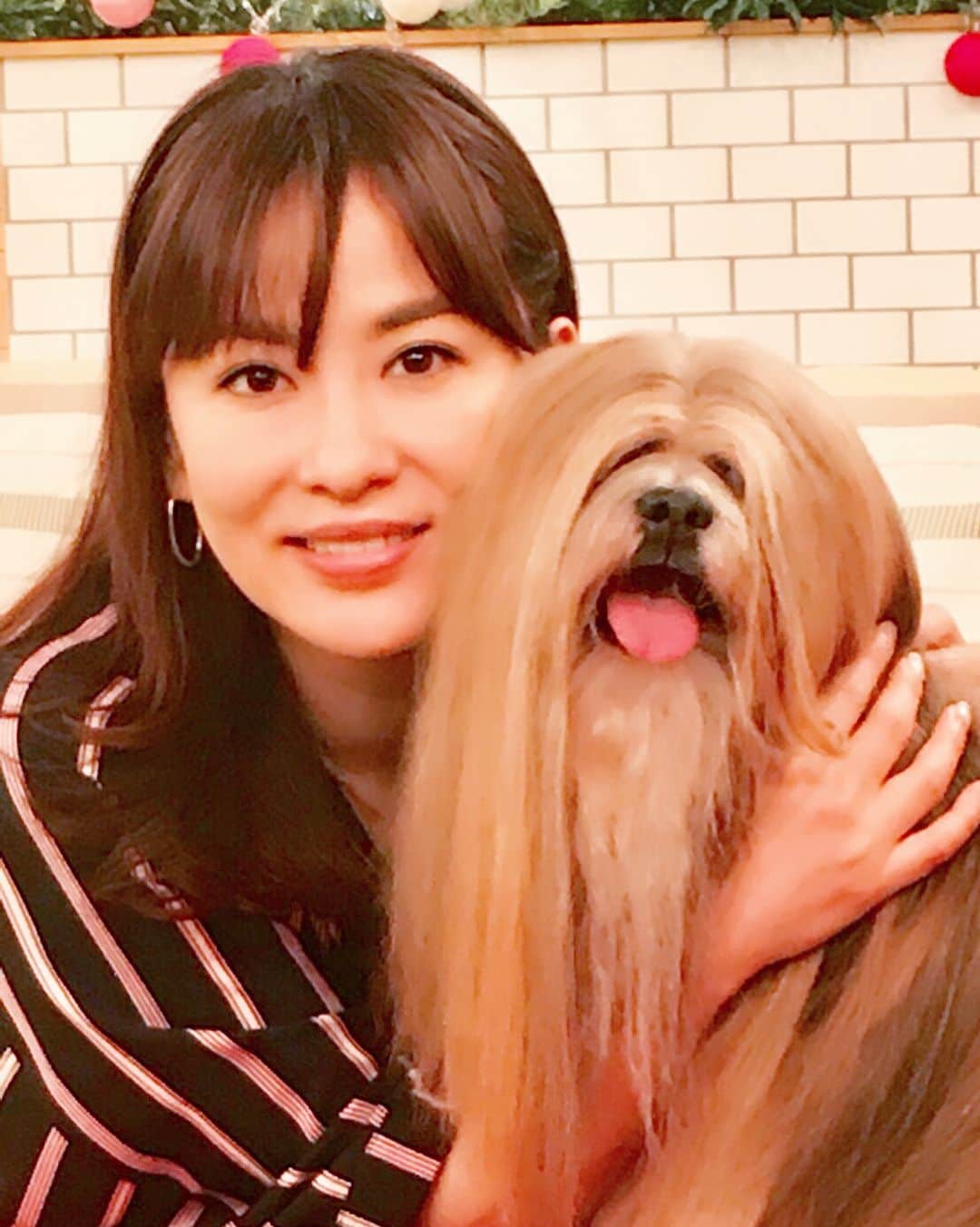 のインスタグラム：「皇帝に飼われていたというチベットの犬、ラサ・アプソのキャスバルくん。 なんとステキな毛並みなのでしょう✨ ずーっと撫でていたいシルキータッチ✨  今年は戌年🐶ということで 今夜はじめの『もふもふモフモフ』には たくさんのお茶目わんこが集合です！！ 戌年だけどうちの猫やんたちも元気です😺  NHK総合 『もふもふモフモフ ワンワンスペシャル』19:30〜 ぜひご覧下さい〜🐕 #NHK総合 #もふもふモフモフ #戌年 #ラサアプソ #昨日 #スターウォーズ観てきたから #チューバッカに見える😁 #特に色味 #猫 #猫部 #靴下猫 #メルシィ #ハチ」