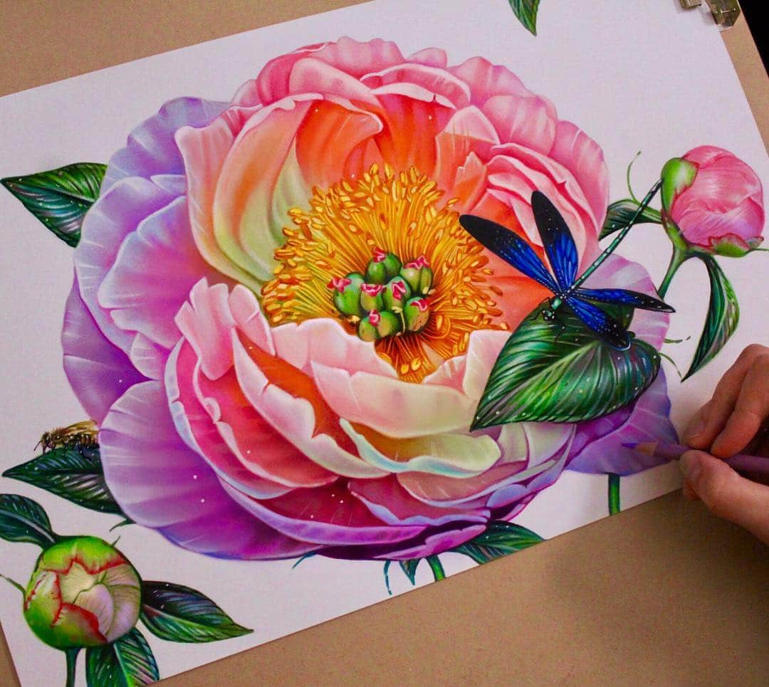 Morgan Davidsonのインスタグラム：「Working on this fun colored pencil peony drawing! ✍🏼🌸💕」