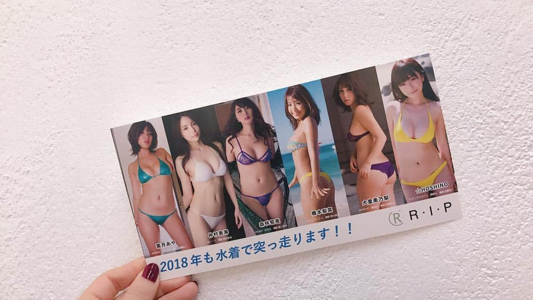 犬童美乃梨のインスタグラム