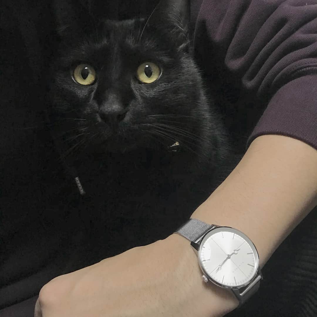 亜生さんのインスタグラム写真 - (亜生Instagram)「KLASSE14さんから時計をプレゼントしていただきました。ありがとうございます。 自分用やプレゼントに最高！ ありがとうございます！！ #KLASSE14」1月7日 21時21分 - aseihurricane
