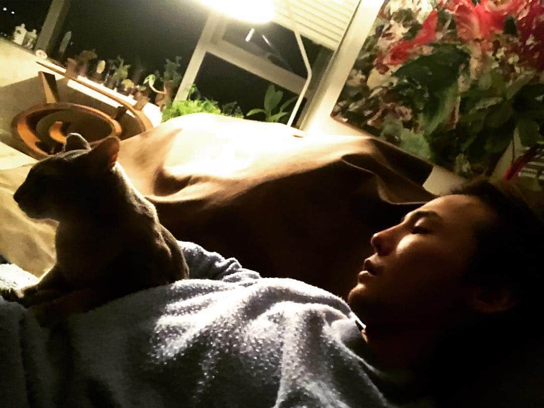 G-DRAGONのインスタグラム：「올해도 잘 부탁해 아이야 다 잘 될꺼야😿모두 늦었지만 새해 복 많이 받으세요 여러분✨🙏✨#2018戊戌年」