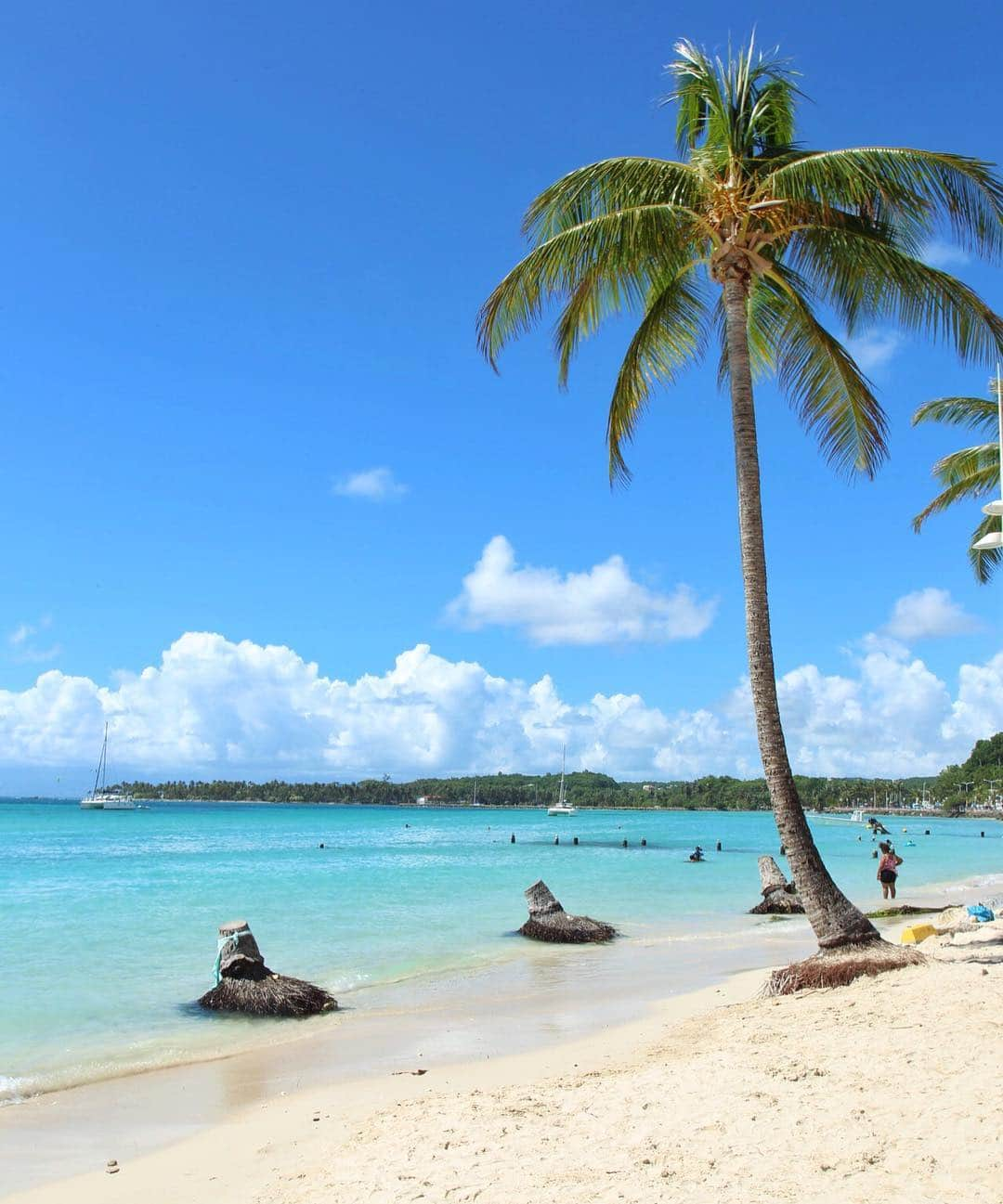 missjetsetterさんのインスタグラム写真 - (missjetsetterInstagram)「Finally made it to one of my bucketlist destinations Guadeloupe🇬🇵and I’m already planning my next trip back😍 Between the amazing Caribbean food & these stunning beaches I can’t even decide what my favorite moment was🤔 More than enough reason to get back ASAP!😜 Loved cruising through the Caribbean with @vikingcruises #myvikingstory」1月9日 13時06分 - missjetsetter