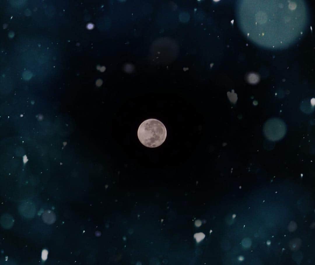 山岸愛梨さんのインスタグラム写真 - (山岸愛梨Instagram)「今年もお天気キャスターとして、天文部として、宙ガールとして、沢山空を見上げて沢山空の魅力を伝えていきます(o^^o)2018年最初の天文部活動は先日のまんまるお月様♪  #月 #満月 #スーパームーン #宙ガール #OLYMPUS」1月9日 22時47分 - airi_yamagishi