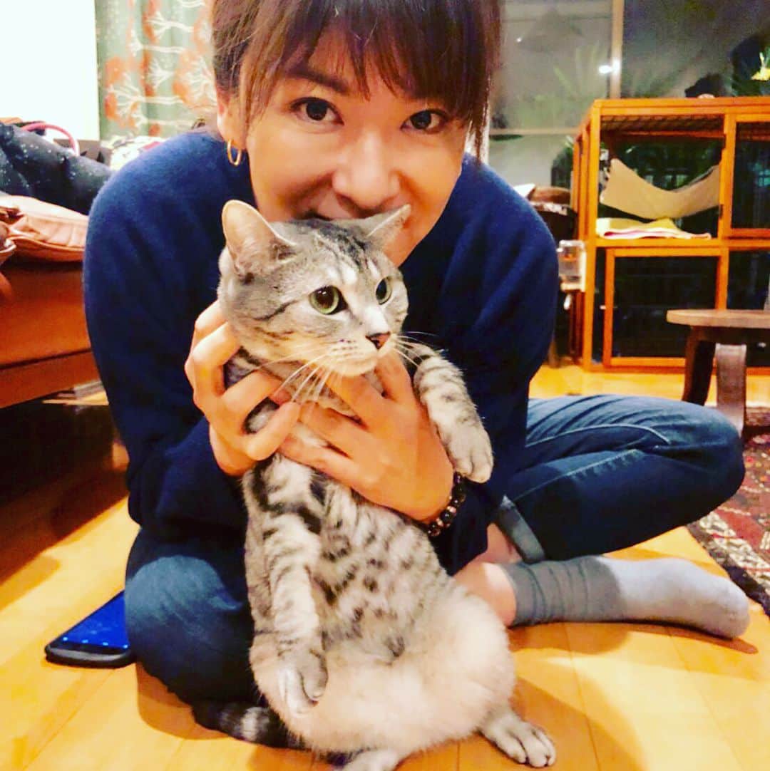 のインスタグラム：「必殺猫オババ。 猫オバちゃんはねー、 人ん家の猫やんたちにも グイグイいくよ。 「ぎゃー。 にゃんだ〜この人🙀」 常盤貴子ちゃん家の アンちゃんとモモちゃん😻 飼い主似の美人姉妹❣️ また会いに行くからねっ。 （ぎゃー🙀） #猫 #猫部 #にゃんすたぐらむ  #もふもふモフモフ  #猫ツーショットハンター #常盤貴子 チャン #撮影は中川しょこたんと貴ちゃん #猫友 #らびゅ」