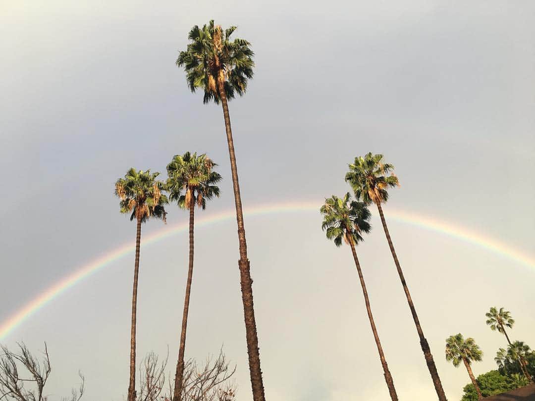 マイケル・レイディのインスタグラム：「Thanks for that magical 15 minutes this afternoon, Nature. You really spoil us. Best #rainbow I’ve ever seen.」