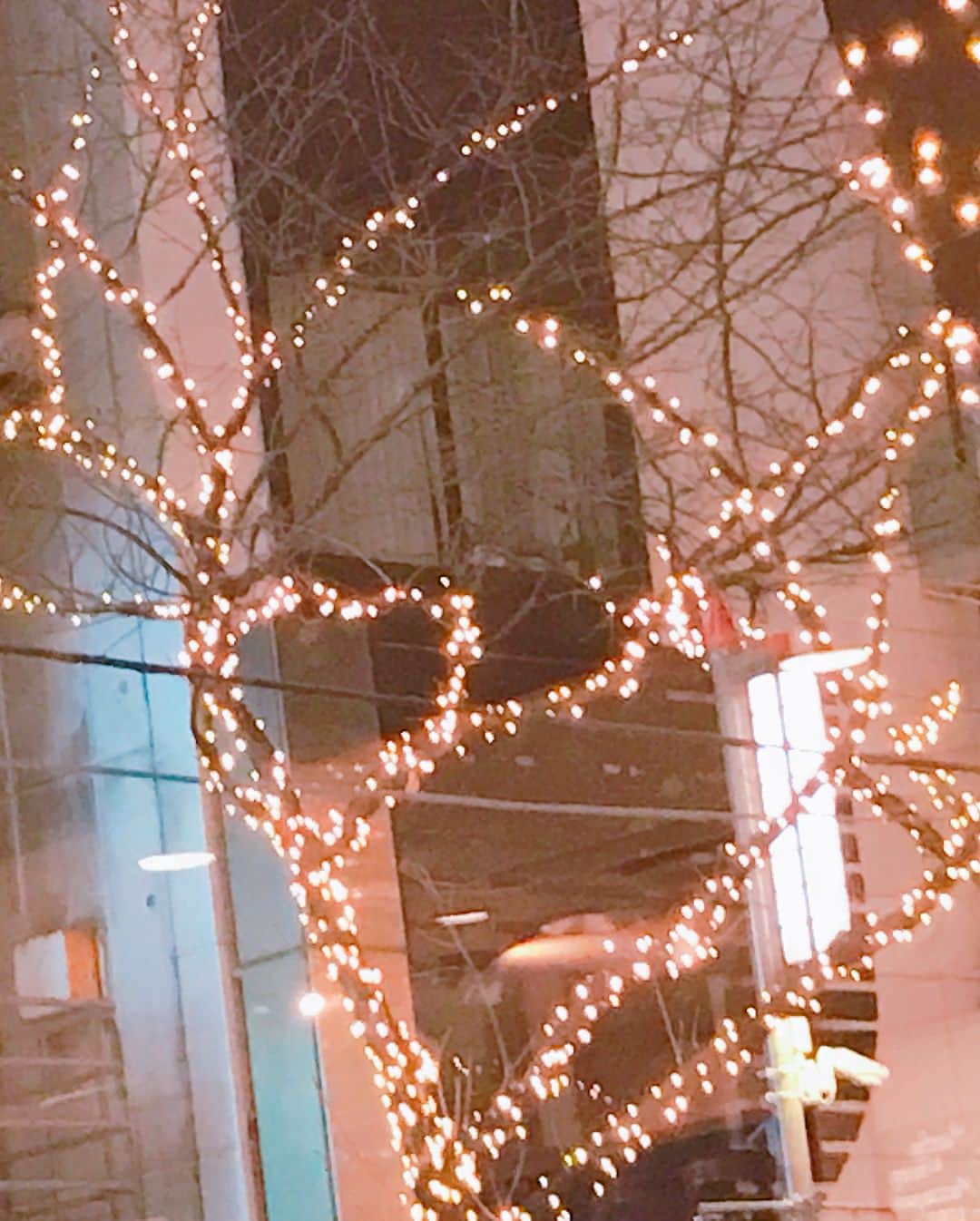 小澤陽子さんのインスタグラム写真 - (小澤陽子Instagram)「だいすきな#冬のカフェの窓から発見したもの。✨ * *  わかりますか？？ ❤︎😊 #私服」1月10日 20時58分 - yoko.ozawa729