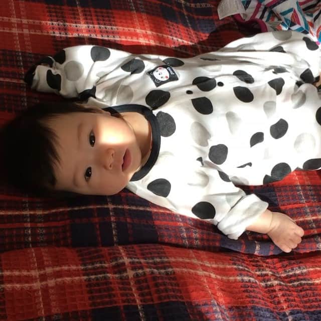 宮坂桃子のインスタグラム：「最近意図的に可愛い声を出すことを覚えた👶🏻 #こいつぅ #これには勝てない #むりむり #可愛い #3ヶ月」