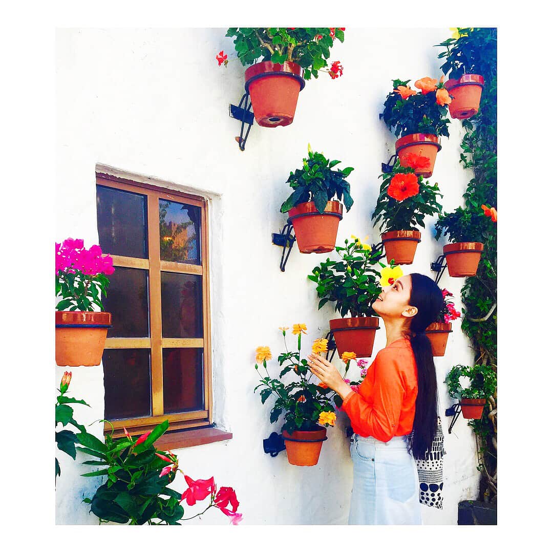 遊海 Yuumiのグルメインスタ