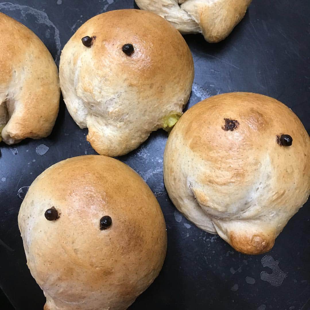 魔女菅原のグルメインスタ