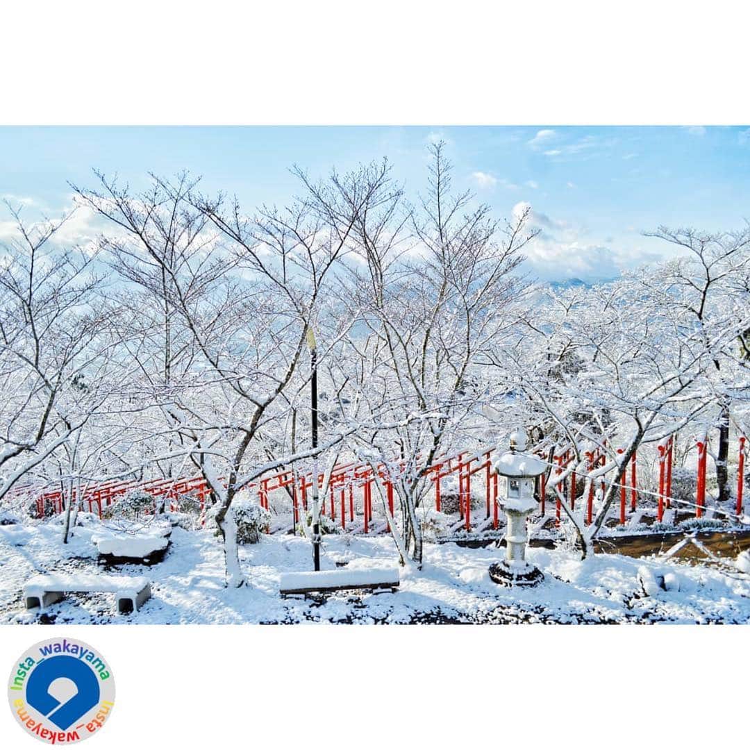 和歌山県さんのインスタグラム写真 - (和歌山県Instagram)「* Insta_Wakayamaでは、皆さんがハッシュタグをつけて投稿してくださった写真から、素敵な写真をご紹介させていただきます！ . 本日のピックアップは、 @sunset.beach_ さんのお写真です☆ ハッシュタグご利用ありがとうございますm(_ _)m . こちらは丸高稲荷神社の雪景色です🌨 今朝は紀北の県内各地で雪が積もっていたようです。年に数度あるかないかの珍しい風物詩ですので、窓越しに昼の降雪を楽しんだ方も多かったのではないでしょうか😆✨隅田八幡神社の飛び地である丸高稲荷神社は桜と鳥居で人気のフォトスポットですが、雪景色は大変珍しいと思われます。 @sunset.beach_ さんは朝起きて雪が溶ける前にダッシュで撮影に行かれたようですよ❗️早朝の淡い空色と輝く白い雪に鳥居の朱色が映えてとっても美しいです❄️⛩素晴らしい風景のおすそ分けをいただきました☺️ ‪1月15日（月）には隅田八幡神社管祭りが開催されます。また、橋本市のイルミ‬ネーションイベントも15日まで開催されていますので、この機会にお散歩してみるのはいかがでしょうか？(^o^)/📷 ○隅田八幡神社管祭り 稲作の豊作を占い、小豆粥を炊く恒例の行事です。参拝客には小豆粥と甘酒が振るわまれます。 期　間：‪1月15日（月）‬ 開催地：隅田八幡神社 時　間：早朝～ ○ウエル学文路ード・プチルミ 学文路駅周辺にあるイルミネーションは約80ｍの斜面の樹木や鉄柵に電飾されます。 期　間：開催中～‪1月15日（月）‬ 開催地：南海学文路駅前 連絡先：プチルミ実行委員会 時　間：‪17時～22時‬ . 和歌山に関する投稿には「 #insta_wakayama 」のハッシュタグをつけてください★ @insta_wakayama では、ただいま #グッドトリップ和歌山 投稿キャンペーンを開催中！🎉和歌山県の素敵なお写真を投稿していただいた方々の中から、毎月5名様に1万円をプレゼントします！🎁詳しくは @insta_wakayama のプロフィールにあるURLをチェックしてください✨ 和歌山の魅力を皆さんで発信していきましょう！ ハッシュタグをつけると同時に、写真の場所の記載・位置情報の登録もお願いします🎵 #insta_wakayama #wakayama #wakayamagram #和歌山県  #橋本市 #丸高稲荷神社 #鳥居 #雪 #積雪 #雪化粧 #白 #青 #赤 #風景 #風景和歌山 #観光 #観光和歌山 #premier_wakayama #プレミア和歌山 #和みわかやまっぷ #hashimoto #nagomi_wakayama #visitwakayama #japan *」1月11日 18時21分 - insta_wakayama