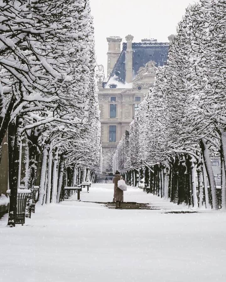 EMOJOIE CUISINEのインスタグラム：「パリは今日も朝から雪が降り続いています。  #parissouslaneige #paris #snowday #パリ#雪 #雪景色」