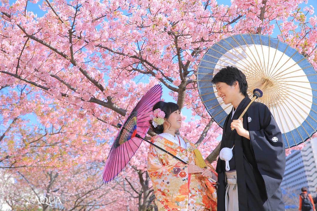 スタジオアクア浅草店さんのインスタグラム写真 - (スタジオアクア浅草店Instagram)「. photographer▷Satoru Iwata @decollte_weddingphoto . . . . . 前撮りに桜との撮影を検討している方も多いのでは？ . 河津桜なら、2月中旬から3月上旬にかけての撮影が可能です！ . ぜひこの機会にいかがですか？🌸 . . . カメラマンの指名も承っておりますので、 気になるカメラマンがいればぜひご検討ください♪ . #d_weddingphoto #weddingphoto #weddingphotography #wedding #studioaqua #浅草 #前撮り #写真撮ってる人と繋がりたい #写真好きな人と繋がりたい #日本中のプレ花嫁さんと繋がりたい #プレ花嫁 #東京カメラ部 #l4l #卒花嫁 #結婚式準備 #ゼクシィ #ポートレート #japan #instagood #instahappy #instafashion #instapic  #着物 #花嫁メイク  #桜 #河津桜 #亀戸 #前撮り写真 #東京」2月9日 23時18分 - studioaqua_asakusa