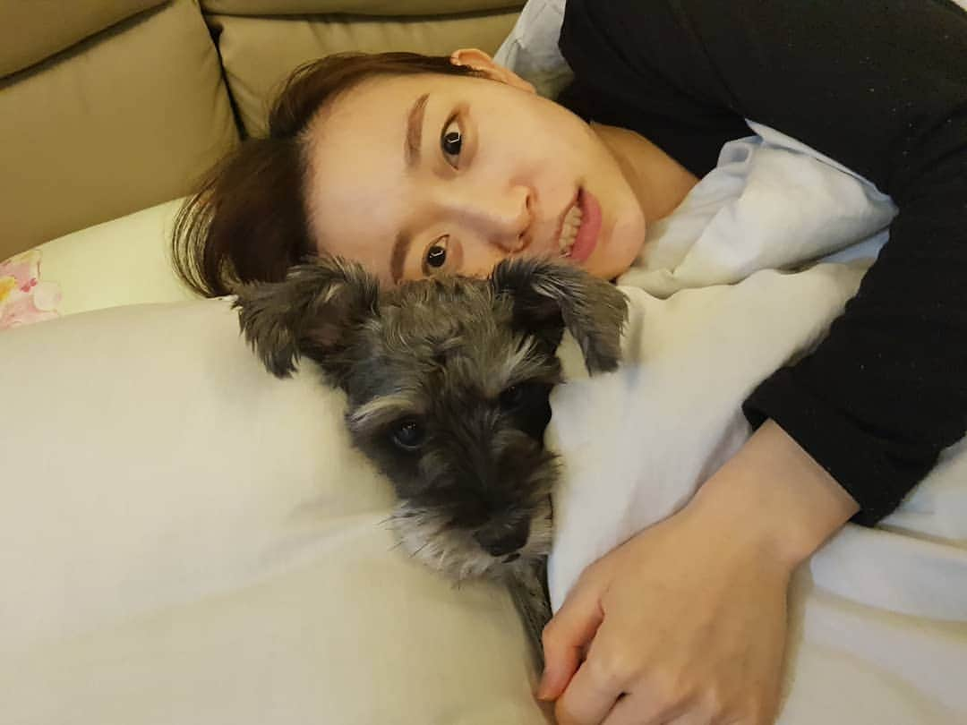 Kim Seul-gieさんのインスタグラム写真 - (Kim Seul-gieInstagram)「#슈나우저 #🐶 내 베개 내놔라」2月7日 16時56分 - s911010