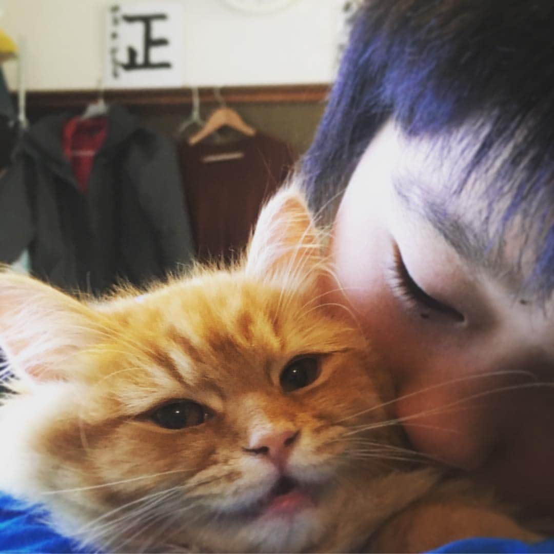 のインスタグラム：「I ‘m fine. Please look at an Japanese calligraphy written by my sonT “正” behind them. It’s mean “Right”👌🏻 #猫 #息子 #書 #正 #cat #myson #with #japanesecalligraphy #daily」