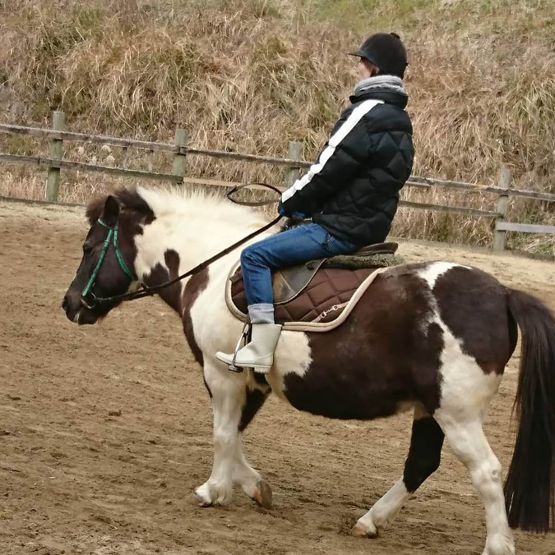 早霧せいなさんのインスタグラム写真 - (早霧せいなInstagram)「パッカパッカ🐴 おっとりで優しい お馬のミネコさんに乗りました。  #乗馬 #何年ぶりだろー #おそらく10年以上ぶり」2月7日 14時39分 - seinasagiri_official