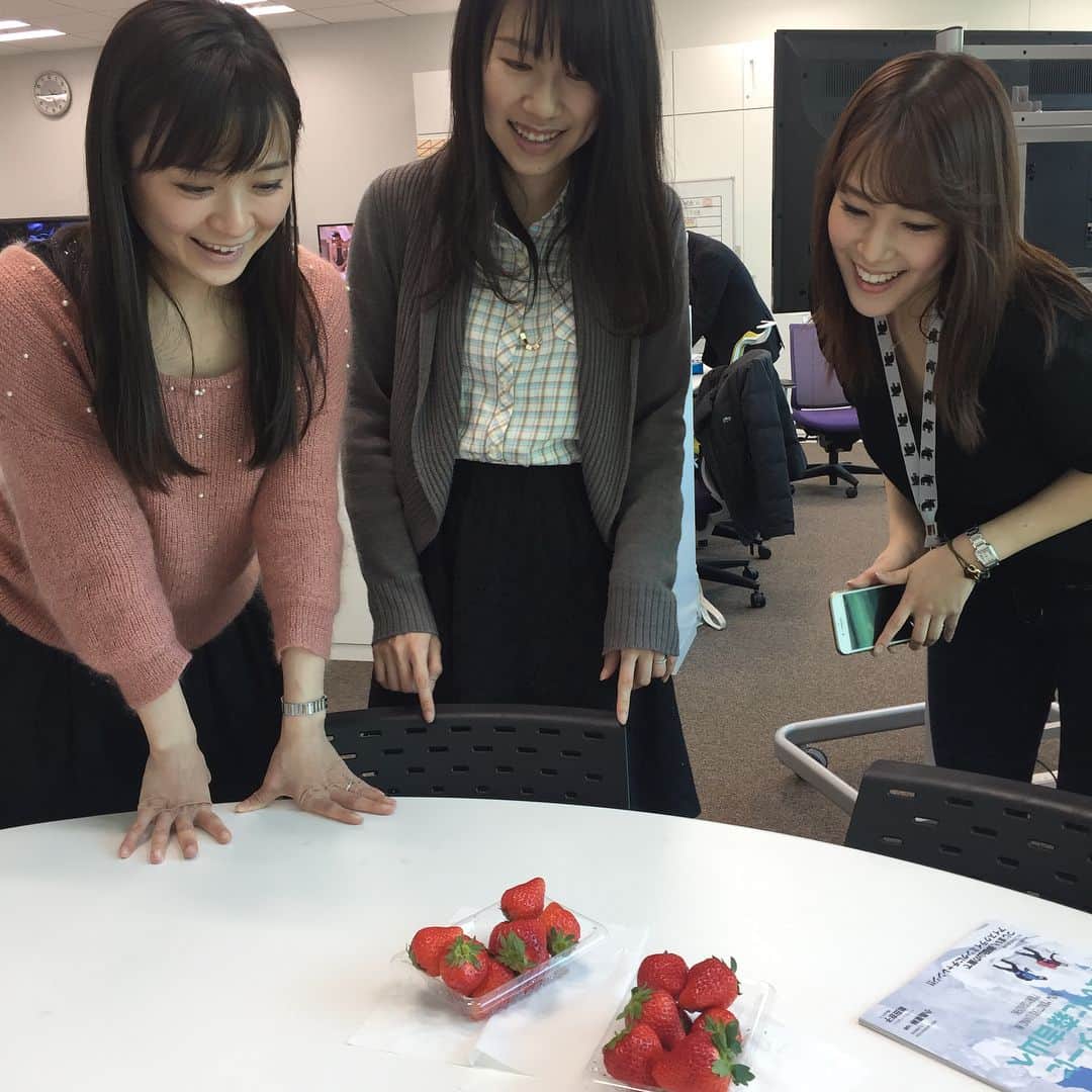 倉野麻里さんのインスタグラム写真 - (倉野麻里Instagram)「すみちゃんのお知り合いの方から、立派な苺を頂きました。大きくて甘くてほんのり酸っぱくて美味しかったー！ #strawberry #午後のひととき #いちごを前にみんなニコニコ」2月7日 16時24分 - marikurano