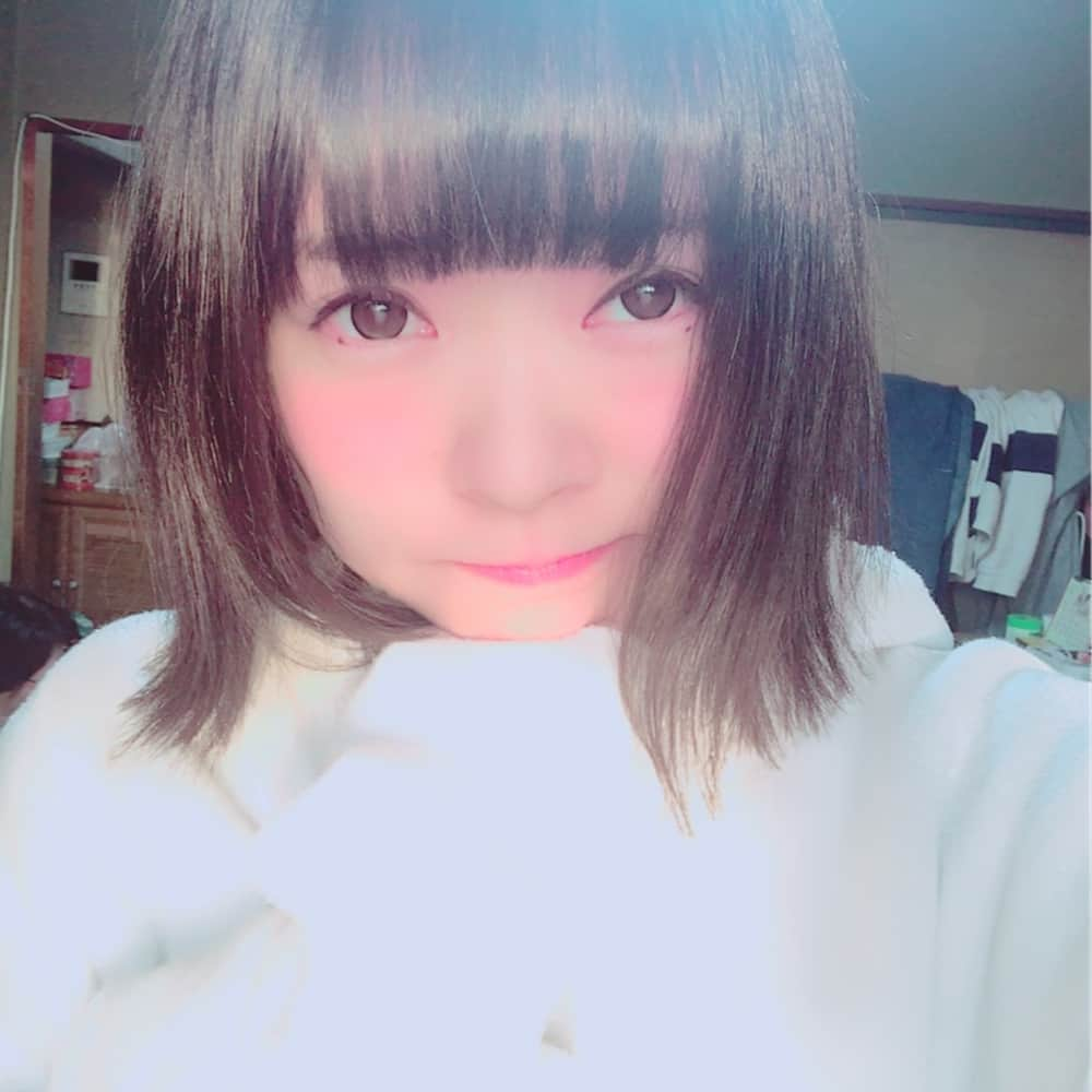 石田涼のインスタグラム：「髪型ボブになりました インスタ報告おくれました  #カバガ #idol #newhair #hairstyle #ボブ #これくらいが好き #本当はもっとショートにしたい #like4like」