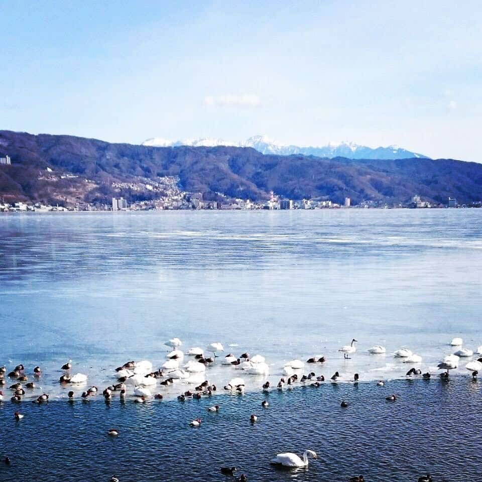 nazonokuniのインスタグラム：「静かに、過ぎゆく時間。 #諏訪湖 #白鳥の飛来地 #八ヶ岳と諏訪湖 #諏訪の国 #謎の国諏訪の国 #藤森慎吾 #Japan #nagano #suwa #mysterios land #wonderfuldestinations #japantrip #japantravel #traveljapan #japanholiday #instajapan #instagramjapan #cooljapan #visitjapan #lovers_nippon #ig_japan #jp_gallery #icu_japan」