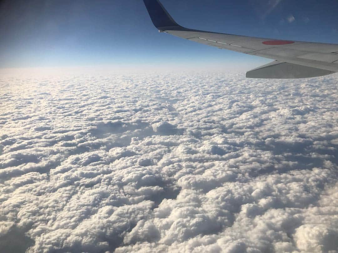 水野晃樹のインスタグラム：「大変申し訳ありませんが携帯を変えたらこのインスタにログイン出来なくなってしまったため、新たなアカウントを作りましたので、こちらはこれにて終了といたします💦  お手数ですが、フォローし直しお願いします😓  これからもよろしくどーぞ！！ #_koo50ooki_」