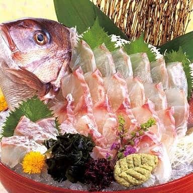 個室×炭火地鶏と朝獲れ海鮮 Goti明石店のインスタグラム：「本日の撮影で鯛の姿造り！ #鯛の姿 造り #居酒屋  #Goti」