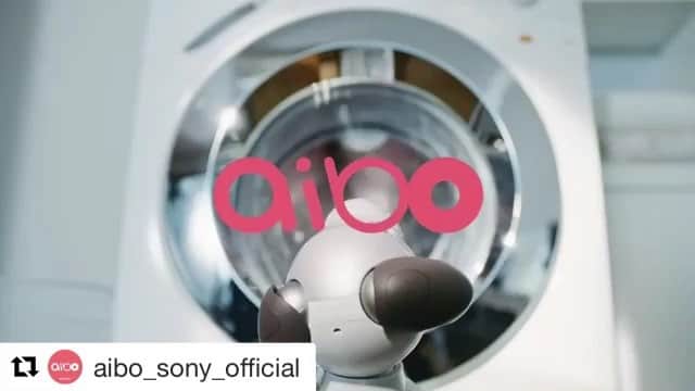 岩上陽子のインスタグラム：「🐶 アイボCMタオル編。 お母さん役。  Repost @aibo_sony_official  思いもよらないぼくらの未来が、いま、はじまる。 #ワンワンワン #aiboのいる生活  #タオル編 #アイボ #sony #aibo  #mamalife#modeling#mywork#shoot#shooting#tvcm#CM撮影#撮影#モデル#ママモデル#母親#お母さん役#アラサー#岩上陽子#アラサー#アラフォー#アラサーママ#アラフォーママ#オトナ女子#ママライフ#ソニー#🐶#いぬのいる暮らし」