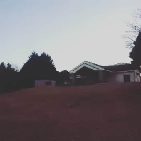 横山裕之のインスタグラム：「また彩の森入間公園にて。  まさかまた写り込んでたとは・・・ たぶん髪の長い霊やと思う・・・ #彩の森入間公園 #よしもと #天狗 #心霊 #今のところ何も起きてはいない」