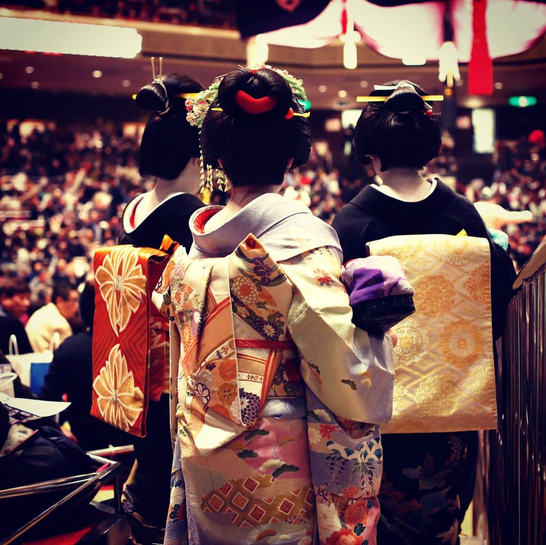 日本相撲協会さんのインスタグラム写真 - (日本相撲協会Instagram)「舞妓さんと芸妓さんが相撲観戦。 #sumo #japan #相撲 #大相撲 #一月場所 #着物 #舞妓 #芸妓 #和装day」1月17日 15時42分 - sumokyokai