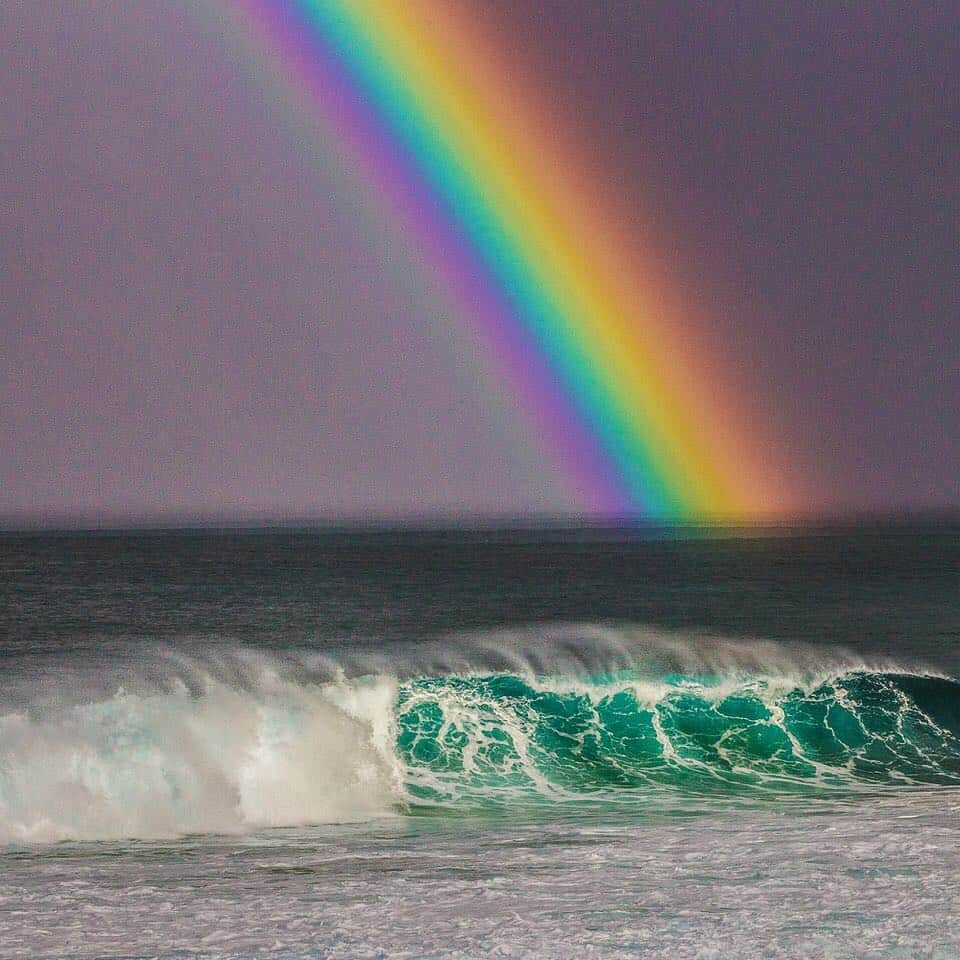 National Geographic Travelさんのインスタグラム写真 - (National Geographic TravelInstagram)「Photograph by @paulnicklen // I have been fortunate enough to see a lot of rainbows while spending so much time out in nature, however this one at the Bonzai Pipeline on the North Shore of Oahu, Hawaii was perhaps the brightest and most delineated one I have ever seen.  I saw this while standing with @zaknoyle and @cristinamittermeier, waiting for a surfing competition to start. #followme on @paulnicklen  #surf #surfing #hawaii #rainbow #pipe #pipeline #bonzaipipeline #smile #adventure #travel  #instagood #tbt」1月17日 22時41分 - natgeotravel