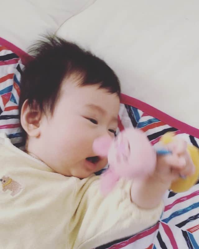 宮坂桃子のインスタグラム：「とりあえず食べてみる👶🏻 今日で4ヶ月になりました☀️ 最近きゃっきゃって声上げて笑うようになったので母は毎回失神しそうになります #4ヶ月」
