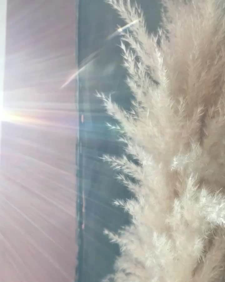 のインスタグラム：「💎✨ . #morninglight」