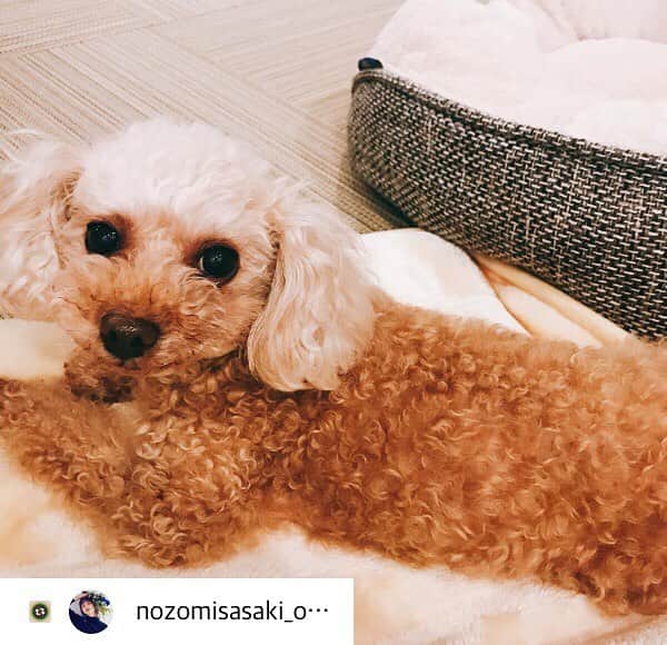 MBS・TBS「藤くん A to E」のインスタグラム