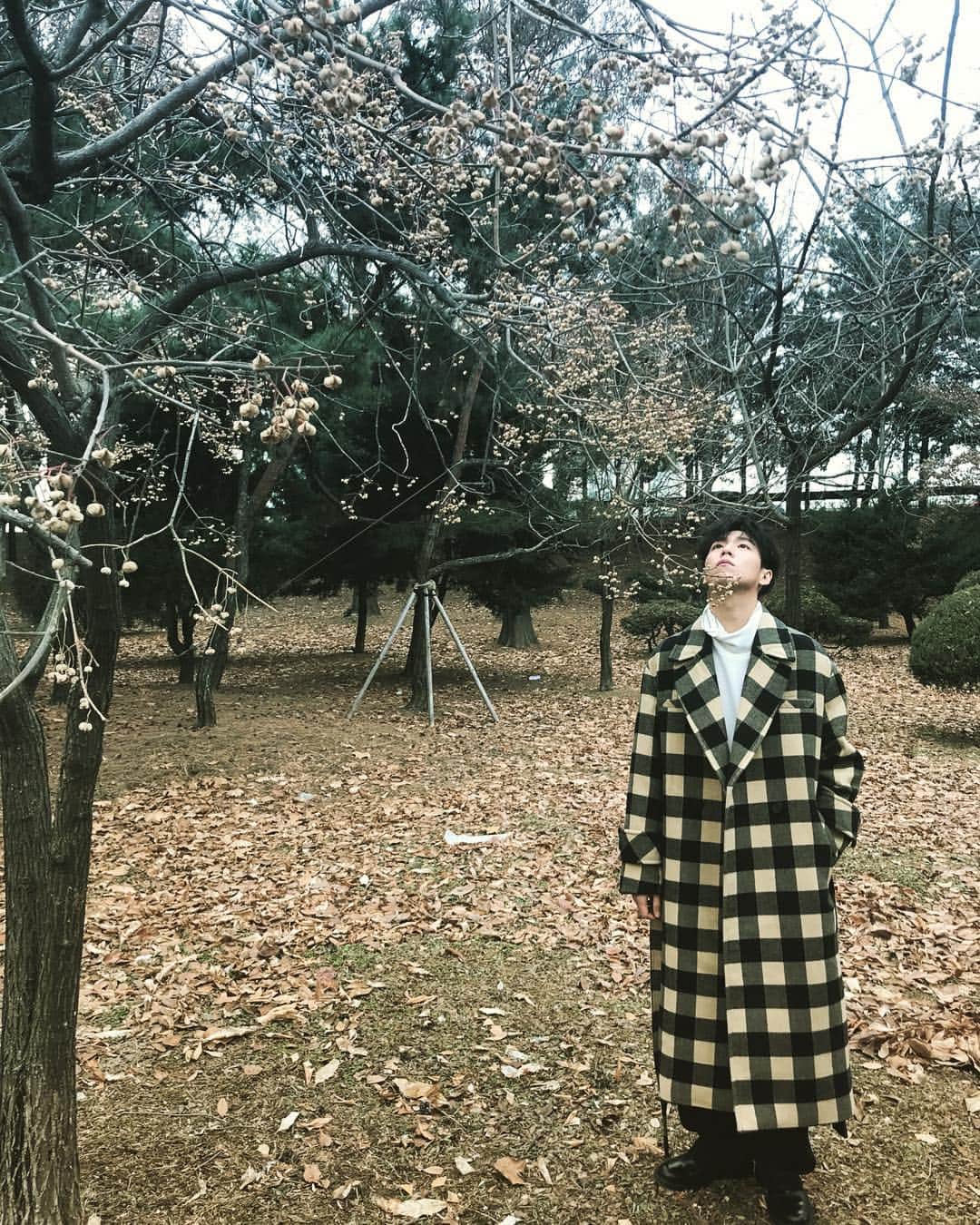 のインスタグラム：「올려다보라, 더 높은 곳을.」