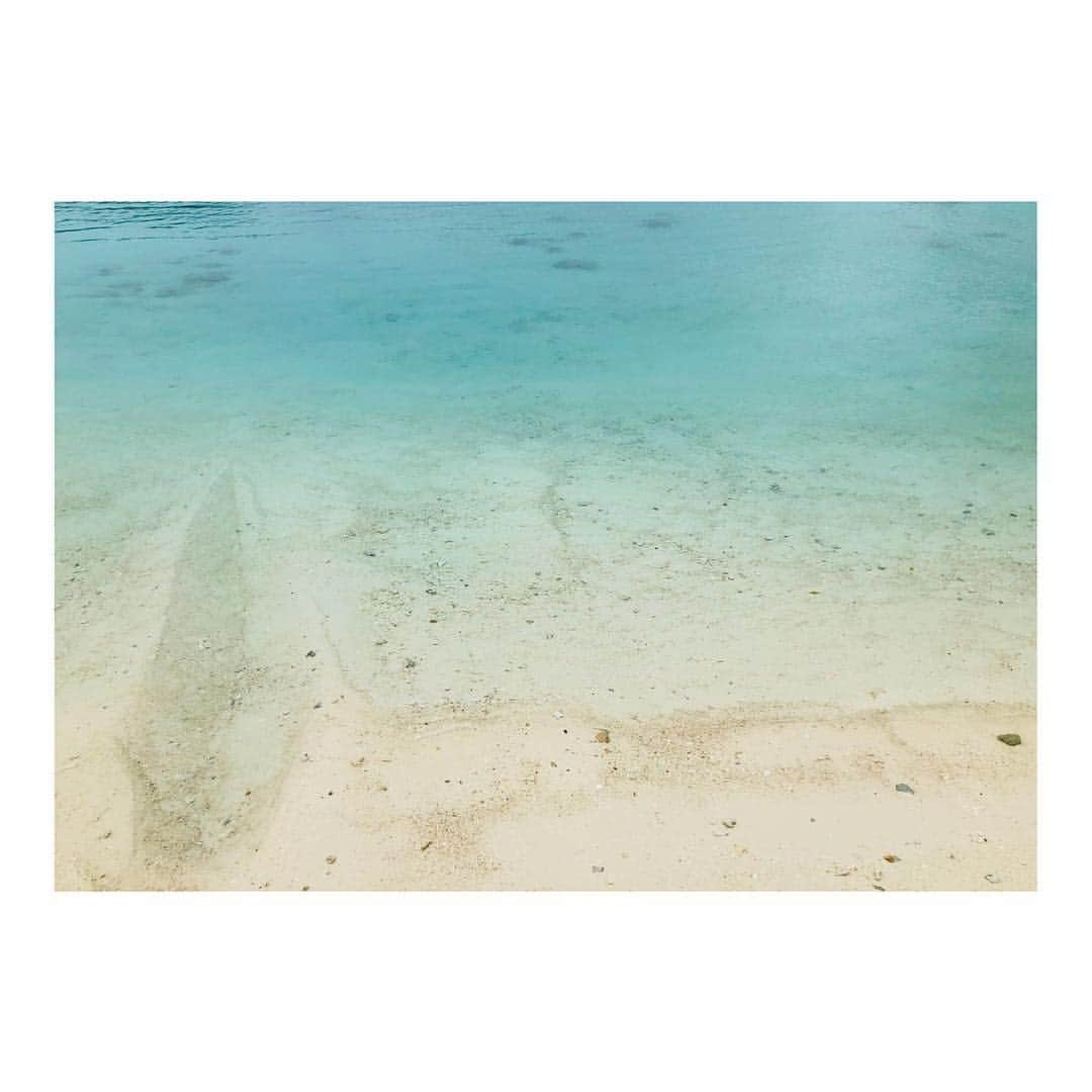 堤礼実さんのインスタグラム写真 - (堤礼実Instagram)「お仕事である所へ来ています👭🏝 とっても綺麗な海をおすそ分け⛱  #晴れ女だと豪語してきたのに #ずっと雨 #時々曇り #私の晴れ女パワーよ何処へ行った」1月19日 12時20分 - reimi_tsutsumi1123