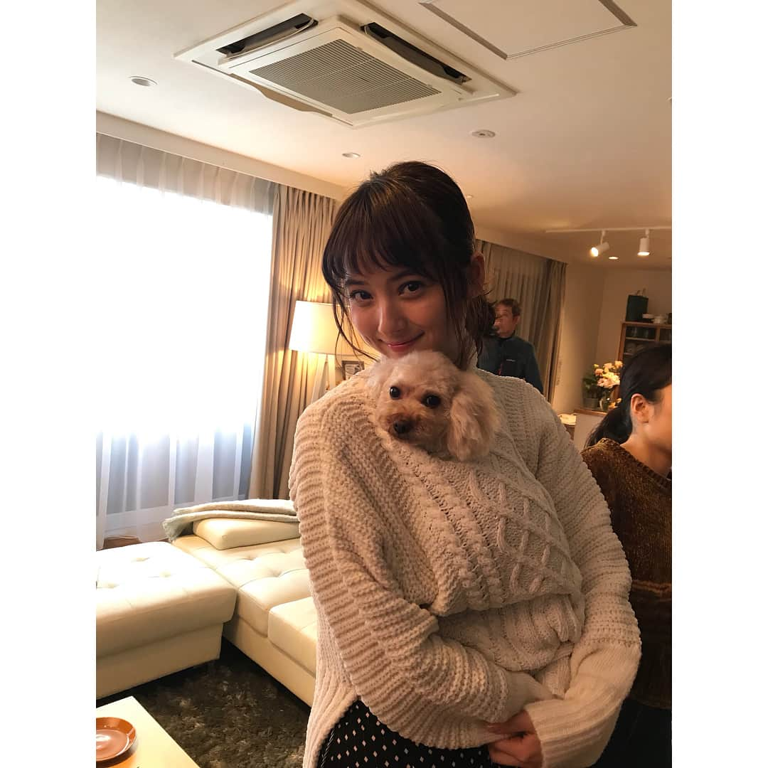 佐々木希さんのインスタグラム写真 - (佐々木希Instagram)「#ユーキャン #CM#オフショット #資格#食生活アドバイザー#愛犬」1月21日 18時56分 - nozomisasaki_official