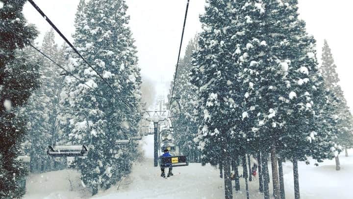 落合恭子のインスタグラム：「❄️ 明日は都内でも雪降るの？☃️ 何歳になってもワクワクしてしまう😊💓 . 交通機関乱れませんように🙏 . It will be snowing day tomorrow. Yayyyy🛷🛷🦌 #snow #silence #white #天気予報 #スノーブーツ #大捜索 #転ばないでね #歩くときは #足の裏全体で #そっと #踏みしめて」