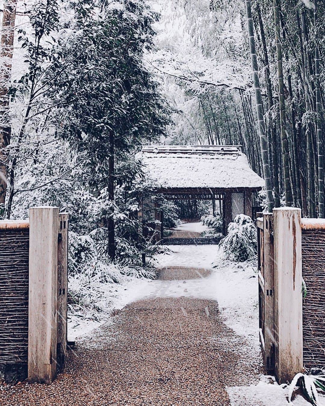 藤森太将のインスタグラム：「たまにはこういう所でお茶を飲むのもあり🍵  #柚餅 #煎茶 #それにしても雪がすごい #Japan is beautiful」
