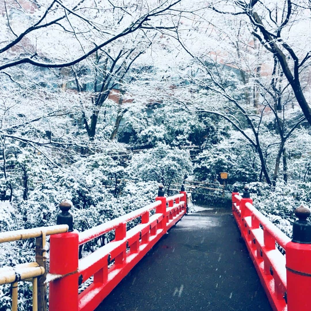 ホテル椿山荘東京さんのインスタグラム写真 - (ホテル椿山荘東京Instagram)「東京、初雪！ The brilliant winter scenes. Snow and our historical red bridge in the garden, and more! #2018 #winter #snow #japanesegarden #japan #tokyo #trip #hotel #chinzanso #tokyo #初雪 #東京 #ホテル #椿山荘 #東京 #ホテル椿山荘東京」1月22日 17時04分 - hotelchinzansotokyo_official
