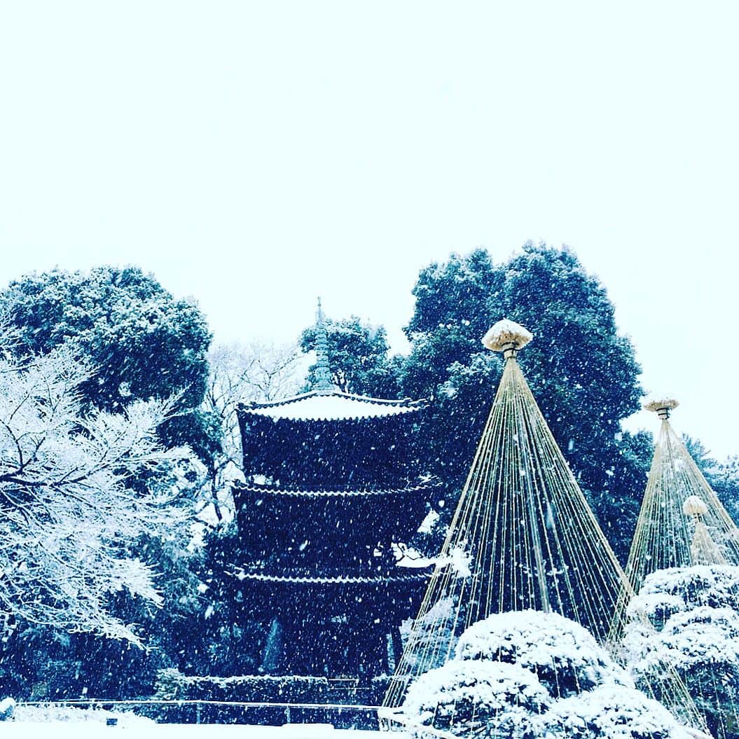 ホテル椿山荘東京さんのインスタグラム写真 - (ホテル椿山荘東京Instagram)「東京、初雪！ The brilliant winter scenes. Snow and our historical red bridge in the garden, and more! #2018 #winter #snow #japanesegarden #japan #tokyo #trip #hotel #chinzanso #tokyo #初雪 #東京 #ホテル #椿山荘 #東京 #ホテル椿山荘東京」1月22日 17時04分 - hotelchinzansotokyo_official