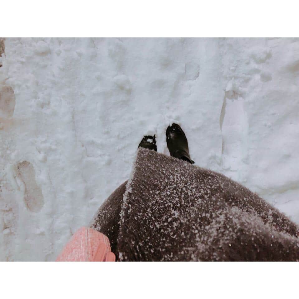 丸高愛実さんのインスタグラム写真 - (丸高愛実Instagram)「お仕事終わって大阪帰るのを断念😂☃️❄️ 皆さま想像以上に凄いので 気をつけて下さい😭😭😭🙏 #東京 #tokyo #雪 #⛄️」1月22日 17時56分 - marutakamanami