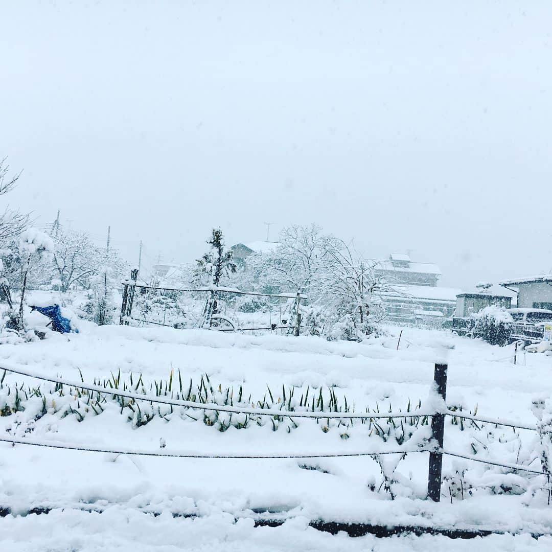 鈴木将平さんのインスタグラム写真 - (鈴木将平Instagram)「今日から亜細亜大学に練習でお世話になっています！ 雪が降り積もっているのを見るのは嬉しかったです😃 でも車動かなくなりすぐに悲しくなりました。。 切り替えていい準備して頑張ります🔥 #雪#静岡#嬉しい#悲しい#良い準備#頑張ります🔥」1月22日 18時16分 - shohei_s46