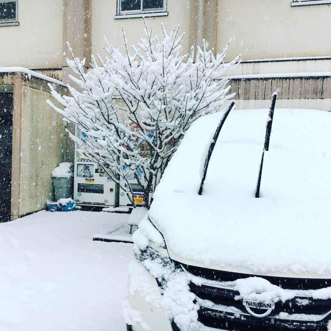 鈴木将平さんのインスタグラム写真 - (鈴木将平Instagram)「今日から亜細亜大学に練習でお世話になっています！ 雪が降り積もっているのを見るのは嬉しかったです😃 でも車動かなくなりすぐに悲しくなりました。。 切り替えていい準備して頑張ります🔥 #雪#静岡#嬉しい#悲しい#良い準備#頑張ります🔥」1月22日 18時16分 - shohei_s46