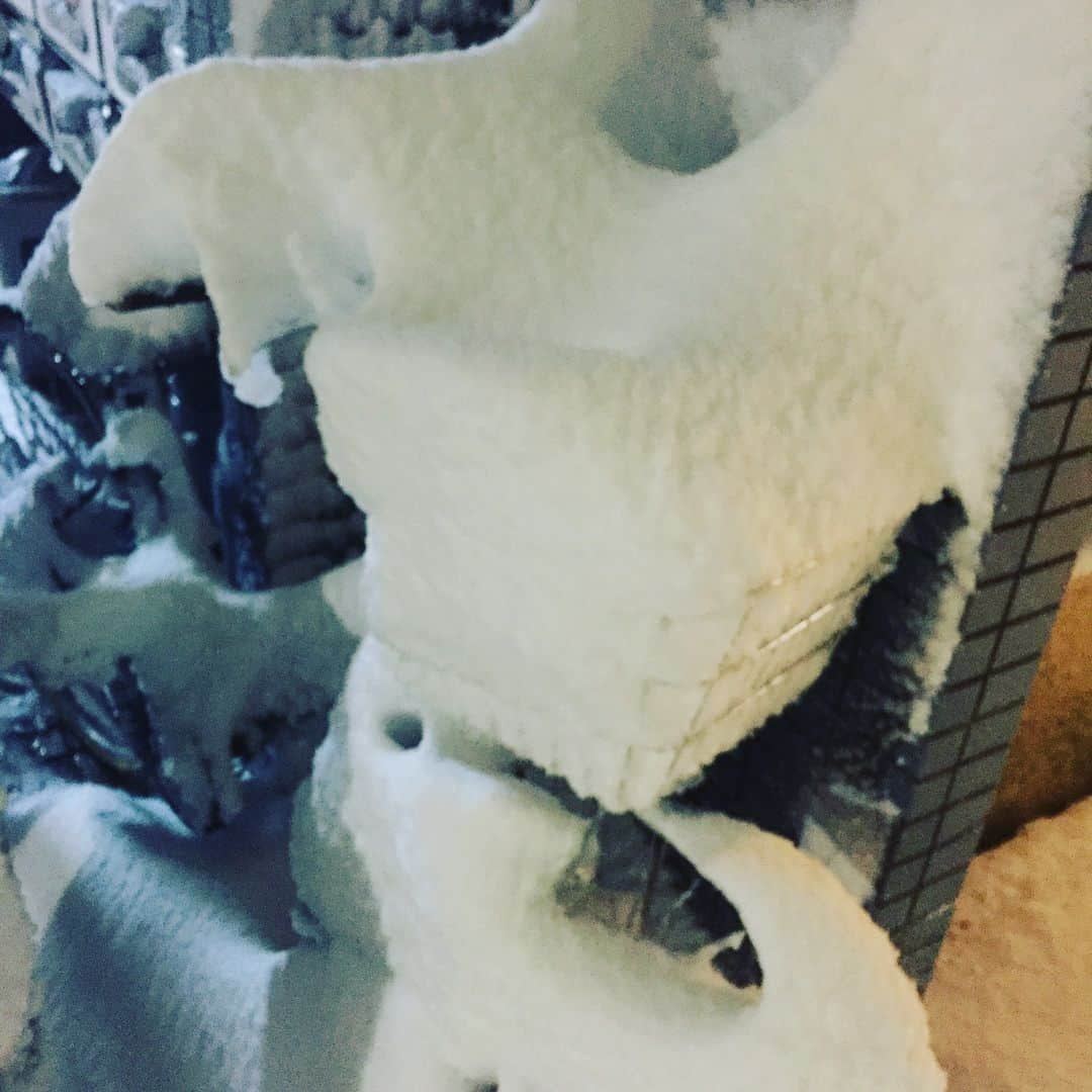 サカモト'sのインスタグラム：「カゴの深さほどは積雪ないはずやのにカゴぱんぱんなん何やねん！ どういう理屈や🎏 #雪 #いくつになってもテンション上がる #なんかずっと笑ける #家の前 #人通らなさ過ぎ #積もり放題」