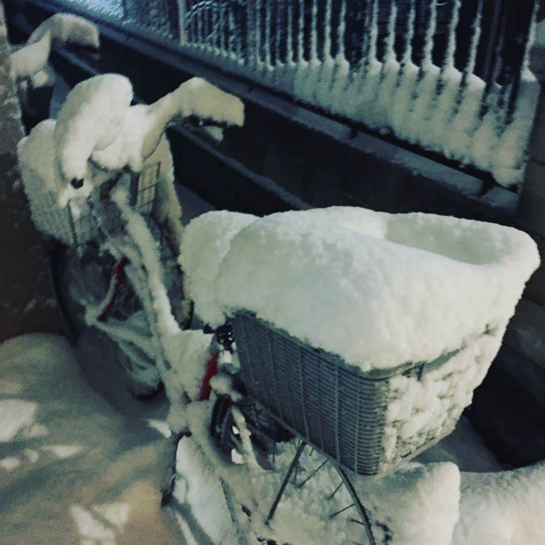 サカモト'sさんのインスタグラム写真 - (サカモト'sInstagram)「カゴの深さほどは積雪ないはずやのにカゴぱんぱんなん何やねん！ どういう理屈や🎏 #雪 #いくつになってもテンション上がる #なんかずっと笑ける #家の前 #人通らなさ過ぎ #積もり放題」1月22日 21時46分 - sakamotoss