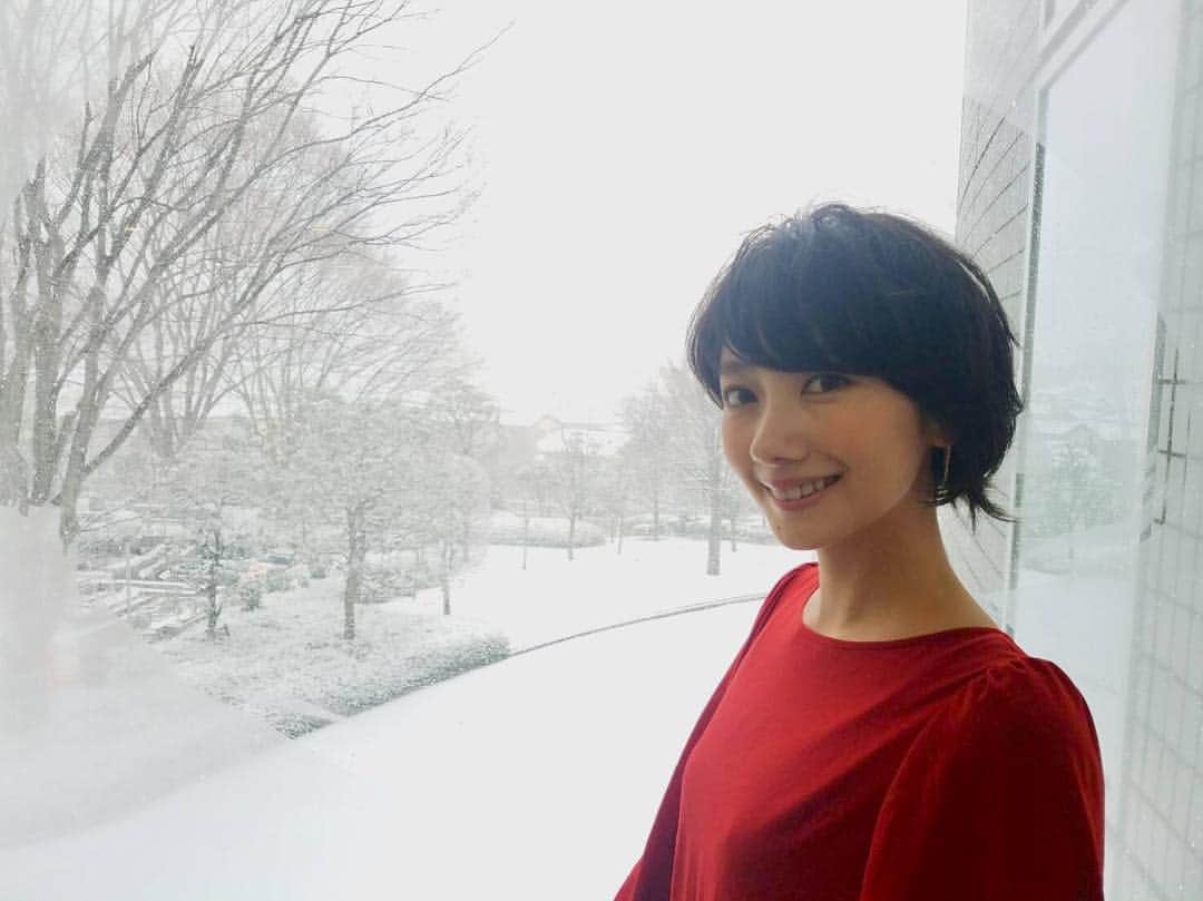 波瑠さんのインスタグラム写真 - (波瑠Instagram)「こんなに積もったのは久々に見ました。皆さん無事に帰宅できますように。  #もみ消して冬 #もみ冬 #雪」1月22日 21時53分 - 06_haru_17