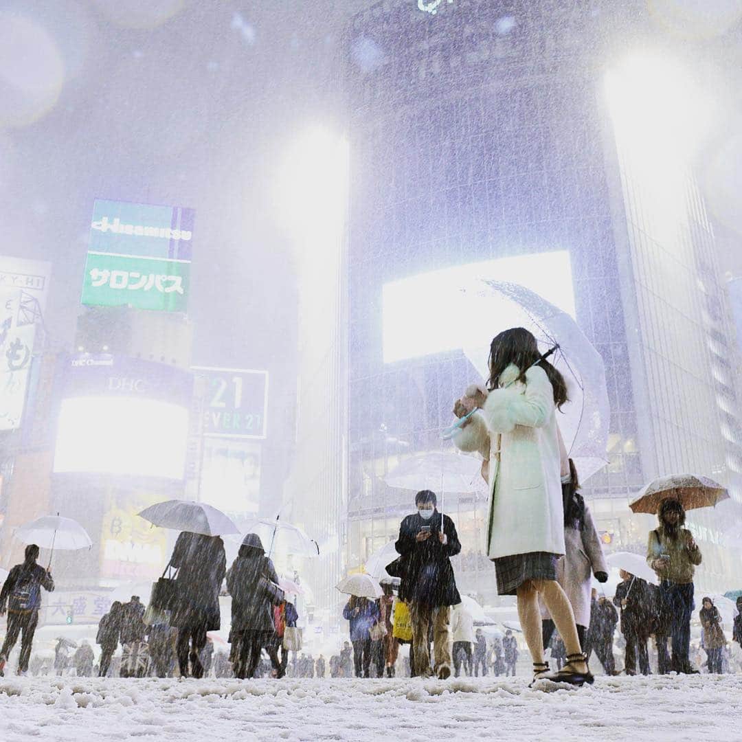 日本経済新聞社さんのインスタグラム写真 - (日本経済新聞社Instagram)「渋谷のスクランブル交差点で＝目良友樹撮影  #東京 #大雪 #雪 #日経 #渋谷 #白 #傘 #japan #tokyo #snow #snowwhite #nikkei #shibuya #white #umbrella」1月22日 23時13分 - nikkei