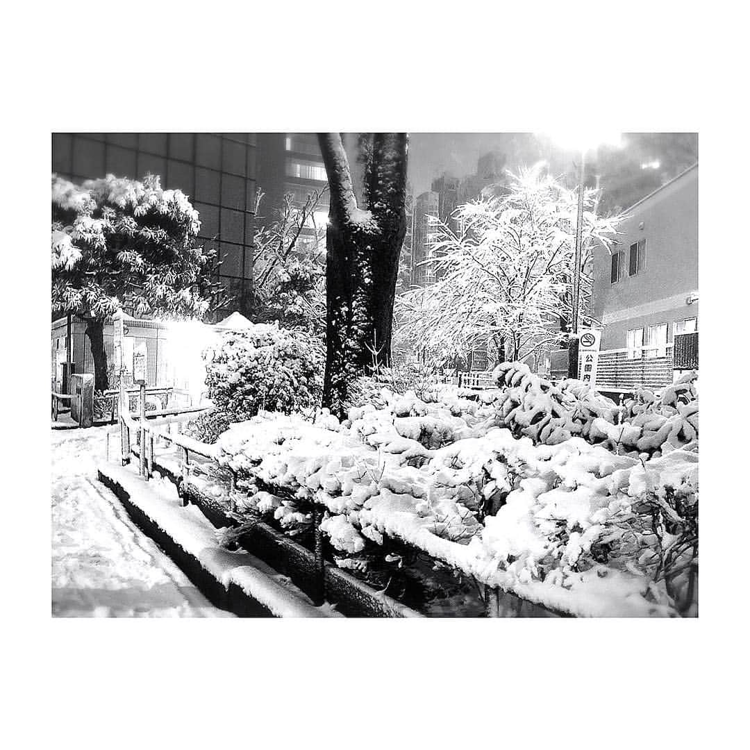 山崎みどりさんのインスタグラム写真 - (山崎みどりInstagram)「東京じゃないみたい❄️恵比寿が真っ白❄️ #雪 #snow #東京に見えない #スノボしたい #坂道の雪見たら #無性にスノボに行きたくなった #🏂 #寒い #東京は雪に弱い #電車アウト #タクシーゼロ」1月22日 23時34分 - midori_yamasaki_