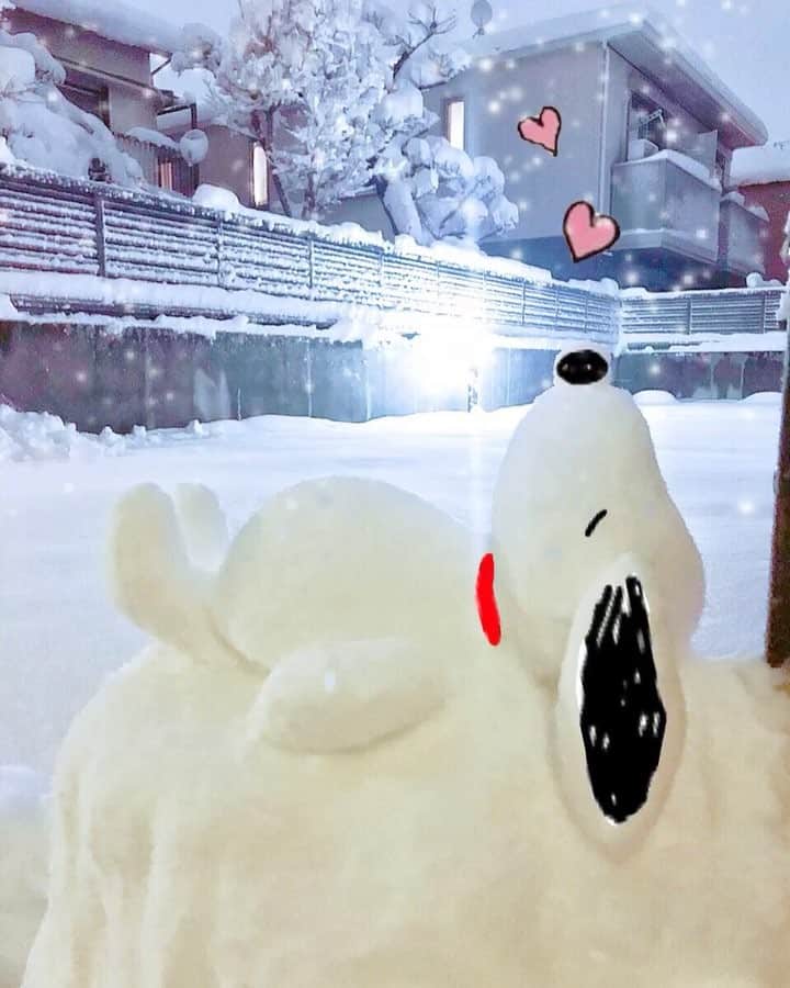 蓼沼綾のインスタグラム