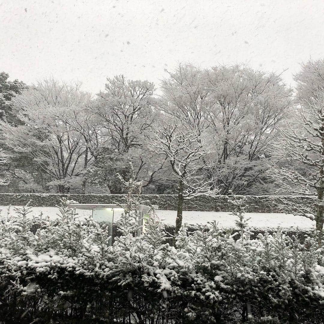 柴咲コウさんのインスタグラム写真 - (柴咲コウInstagram)「Let it snow! #yesterday #tokyo #snow #doyouwannabuildasnowman  #comeonletsgoandplay #silentnight」1月23日 9時50分 - ko_shibasaki